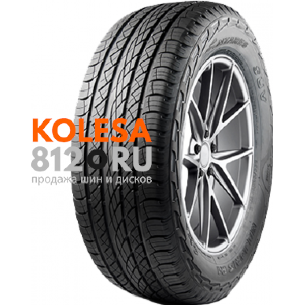 Antares Majoris R1 295/30 R22 103W XL