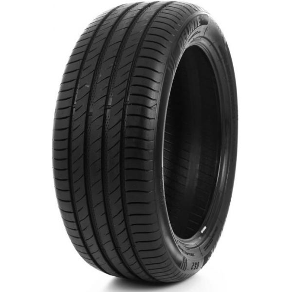 Delinte DS-2 SUV 265/60 R18 110V