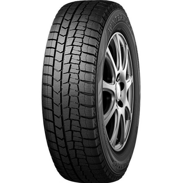 Шины Dunlop WINTER MAXX 02